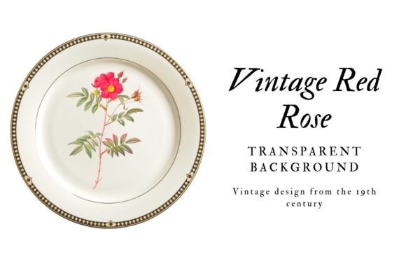 Download Vintage Red Rose Scrapbooking Design - Scrapbooking design Collection