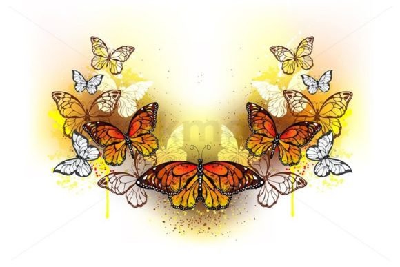 Download Symmetrical Pattern of Butterflies - Symmetric Collection
